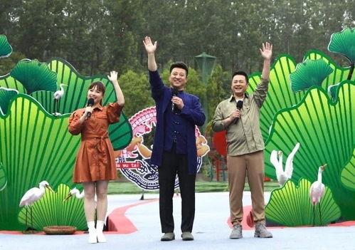 遗落海域最新爆料视频下载,揭秘神秘岛屿与未知宝藏的冒险之旅